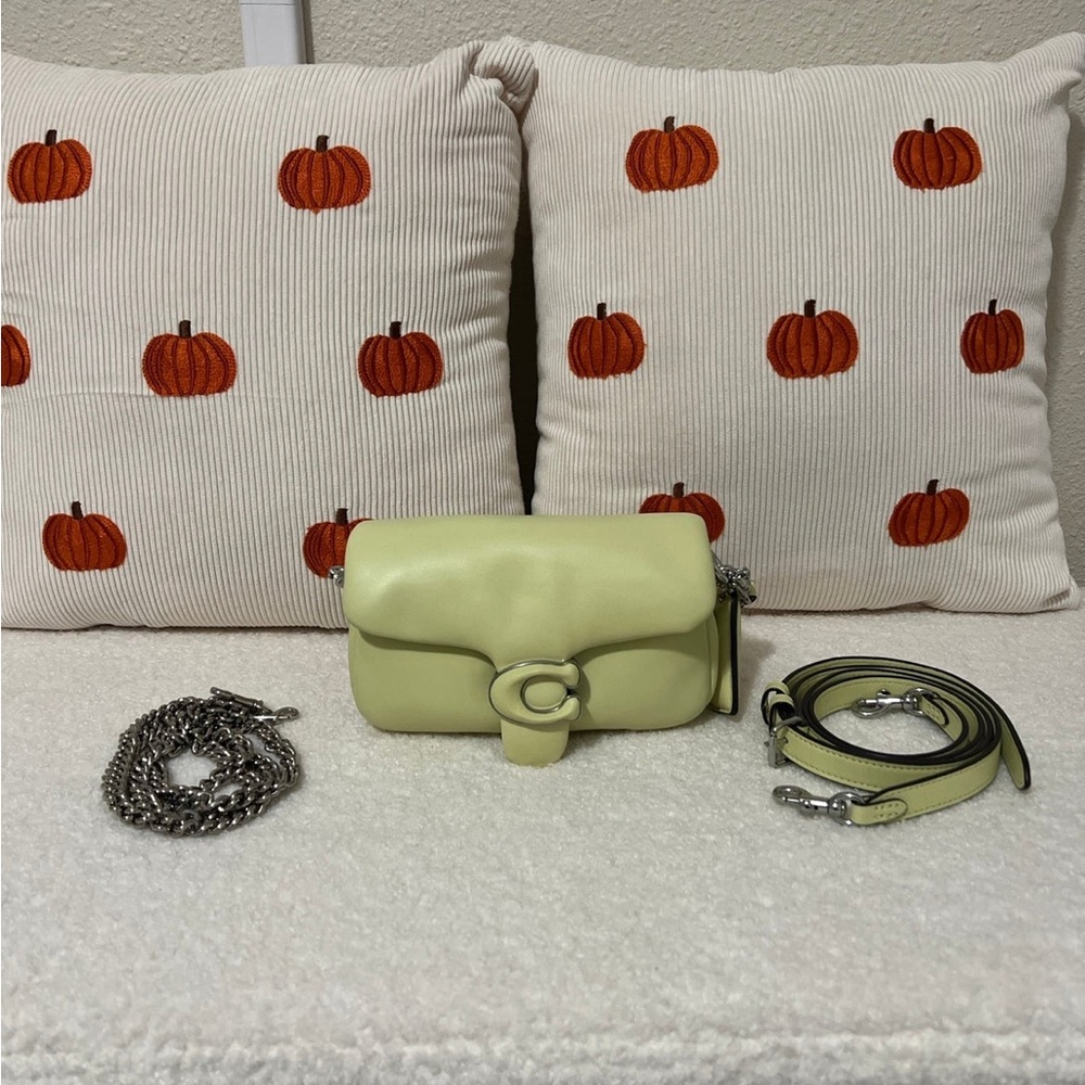 Coach pillow tabby 18